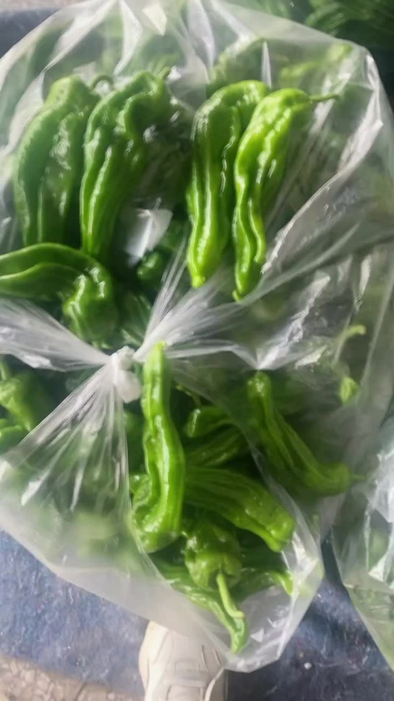 薄皮椒