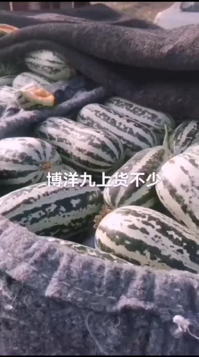 质量没问题，博洋九号