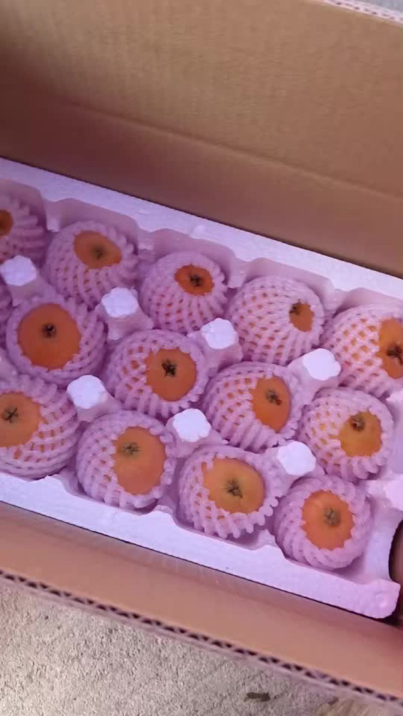琵琶包装好了