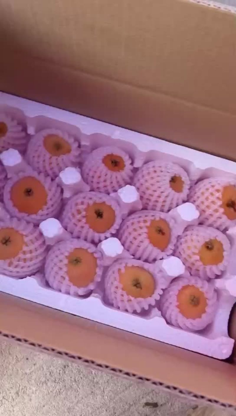 琵琶包装好了