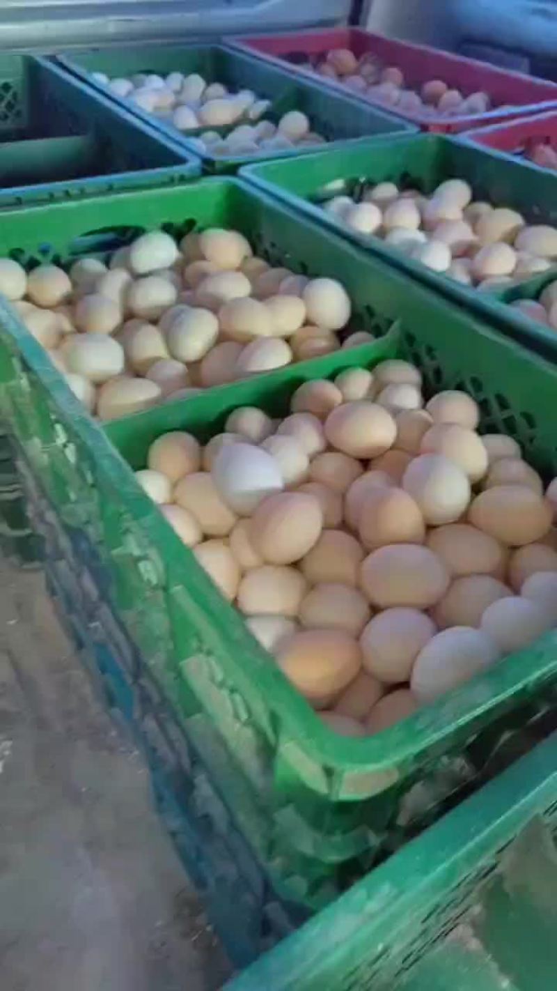快运！！！