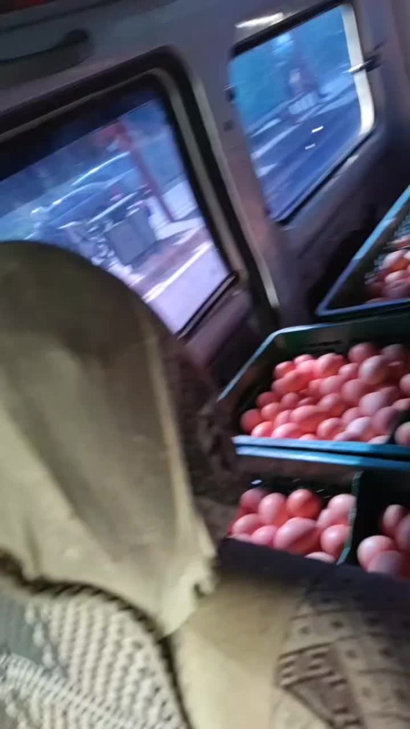 快运！！！