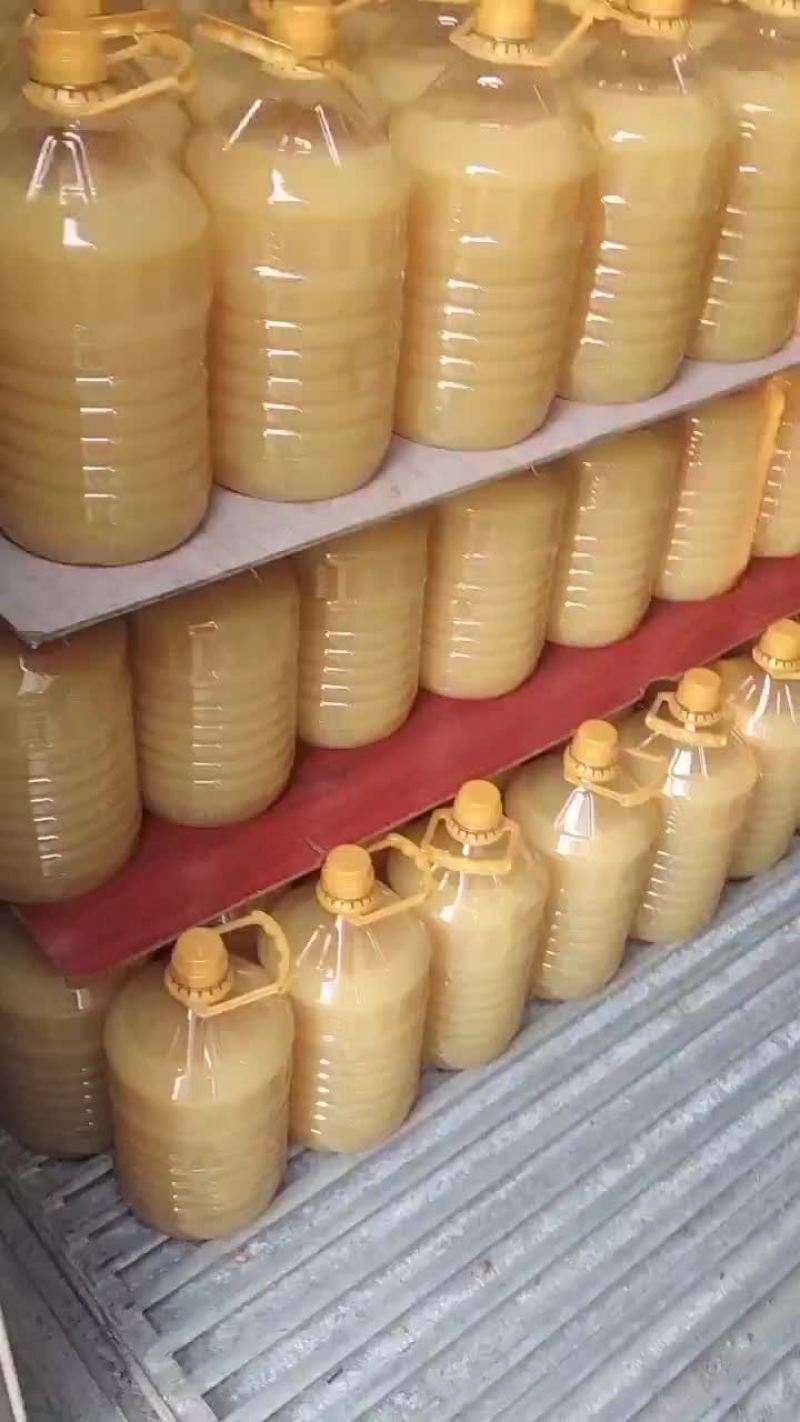 代加工花生油调和油
