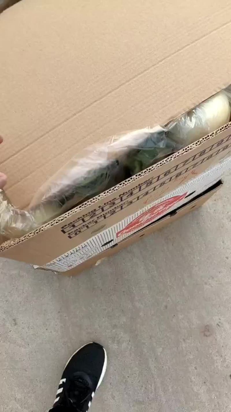 精品小白瓜，口感脆甜