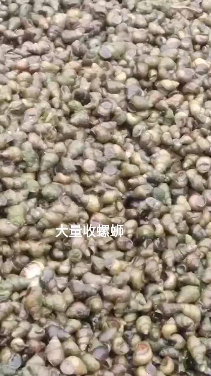 我想卖食用螺丝