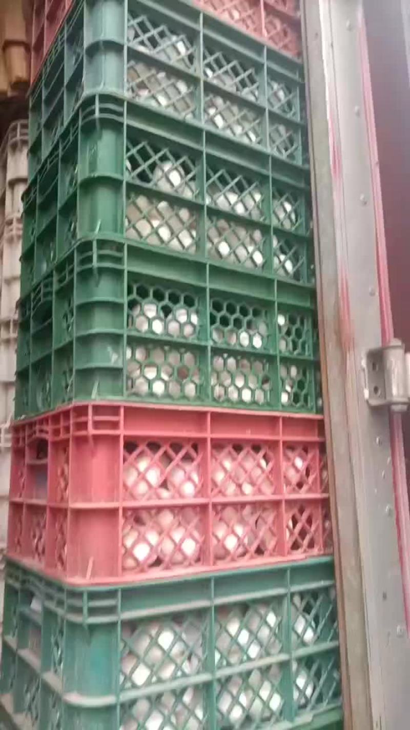 一站式服务，鲜蛋搬运工。。