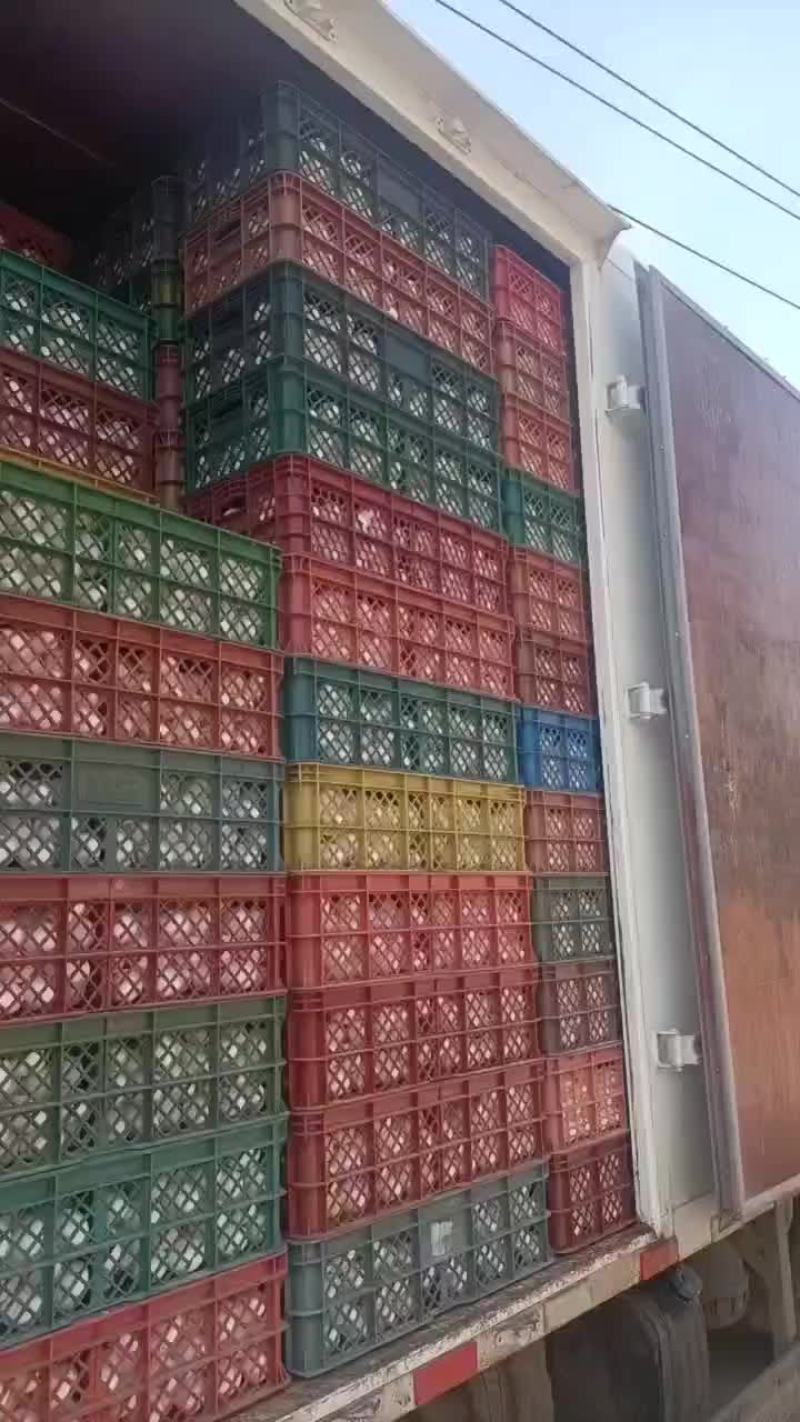 一站式服务，鲜蛋搬运工。。