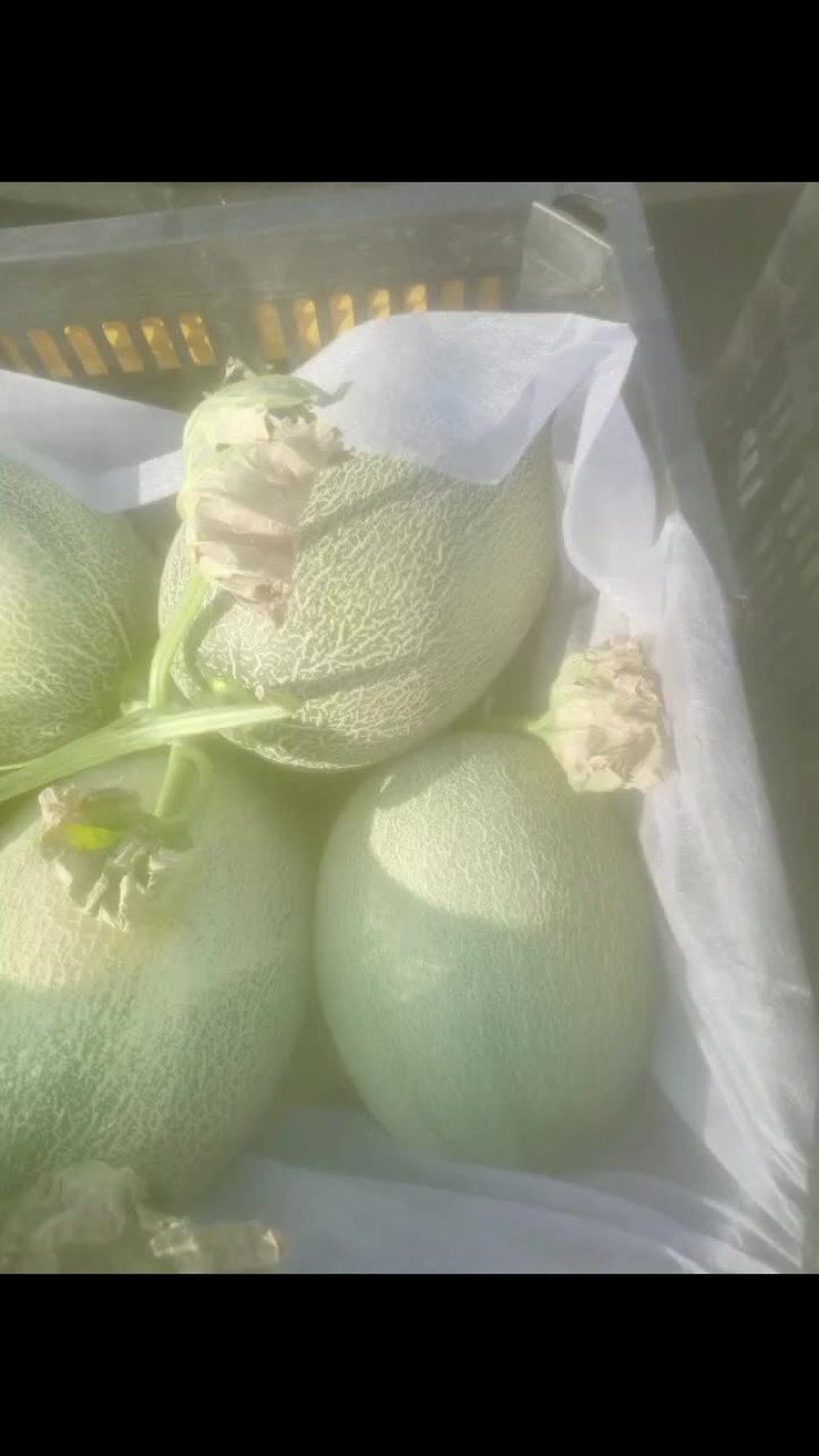 台州市三门县东方密要好货欢迎打劳