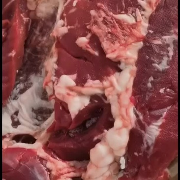 牛肉