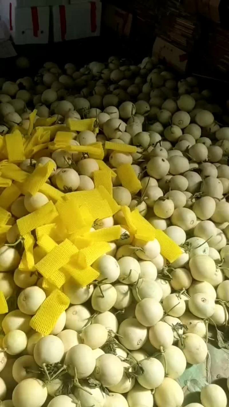 伊丽莎白