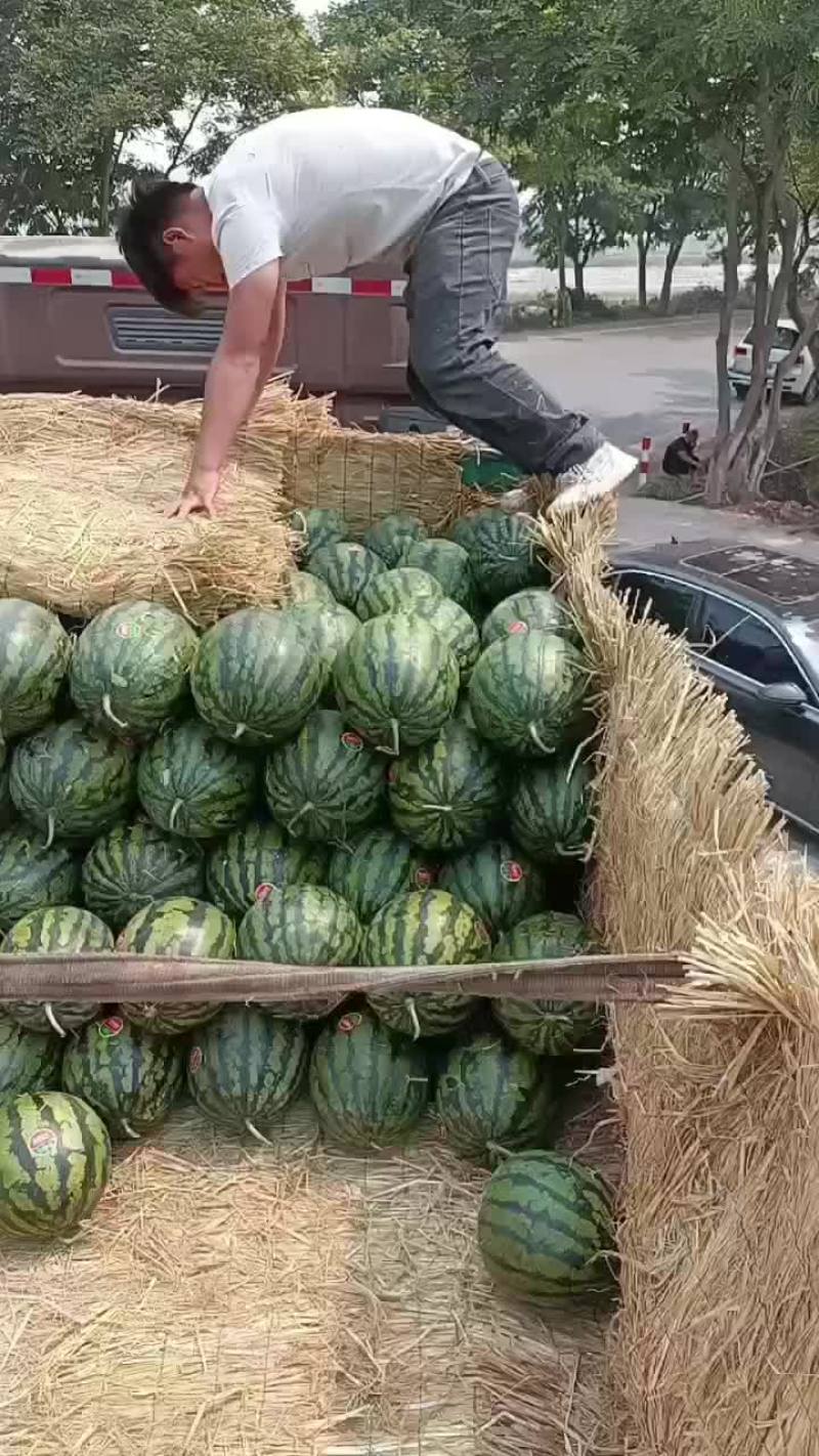 云南露天地甜王西瓜，质量有保证，生瓜管退管换！