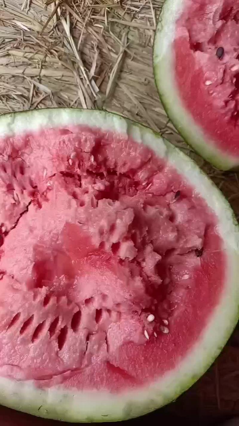 云南甜王西瓜，保证质量，价格优惠！生瓜管退管换