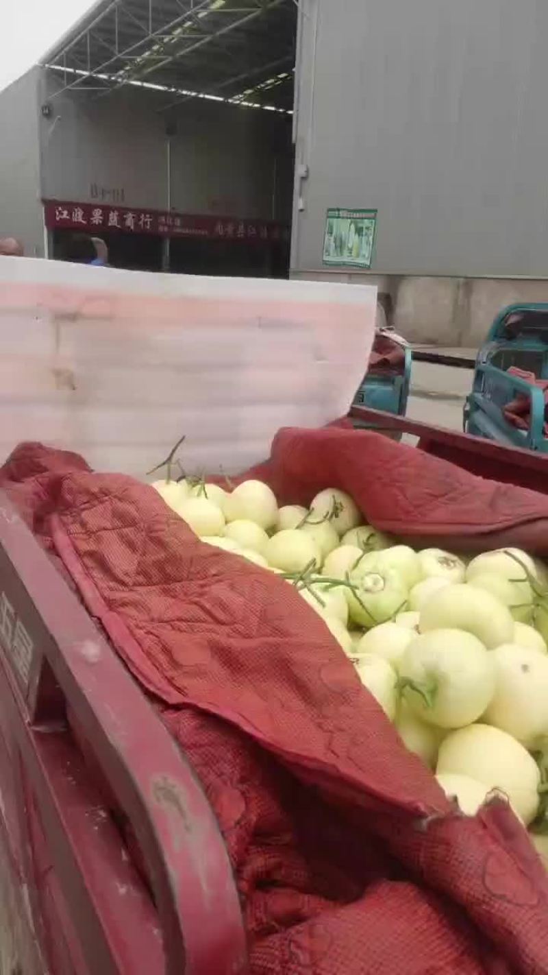 双剑甜瓜