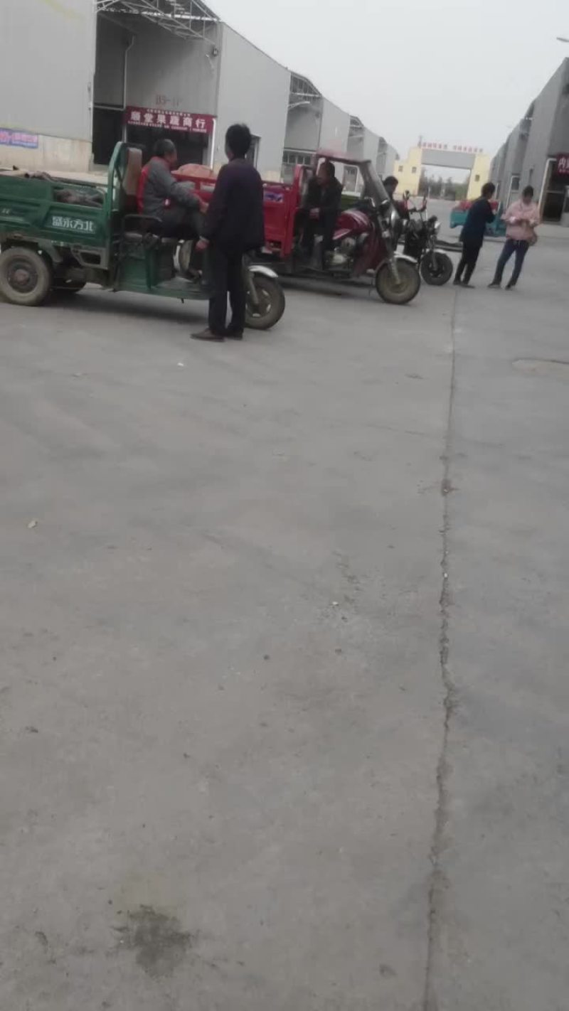 双剑甜瓜