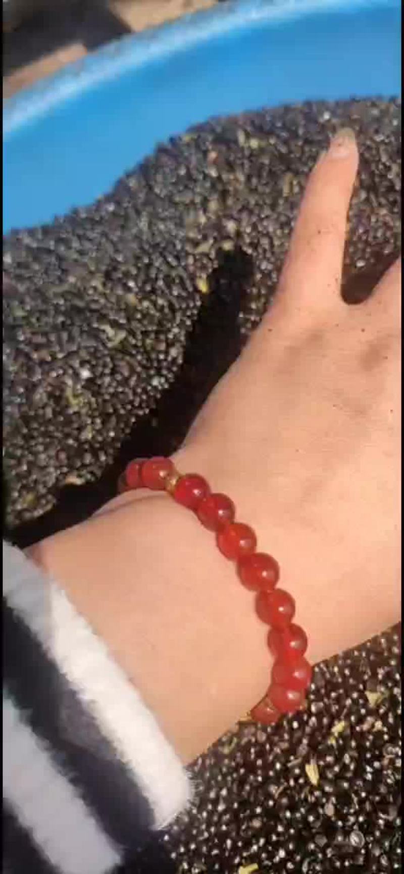 花椒籽