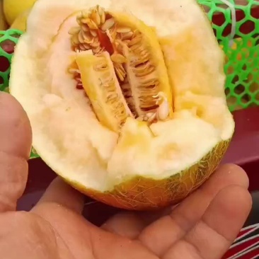 哈密瓜，西瓜