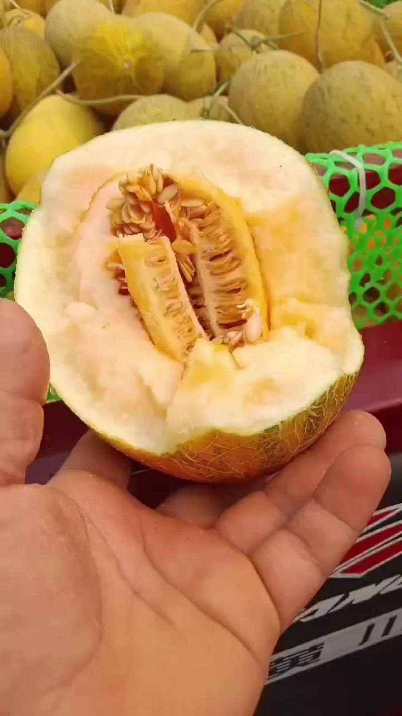 哈密瓜，西瓜