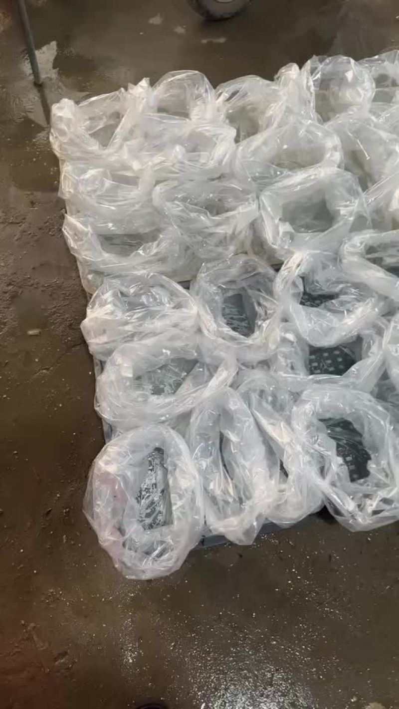 牛蛙苗