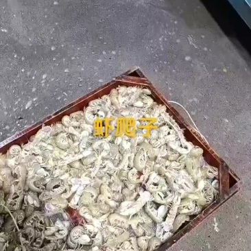 虾爬子