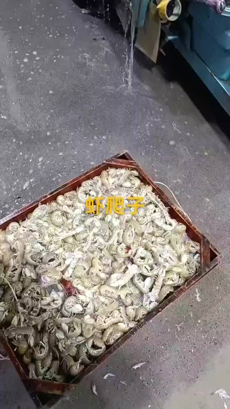 虾爬子