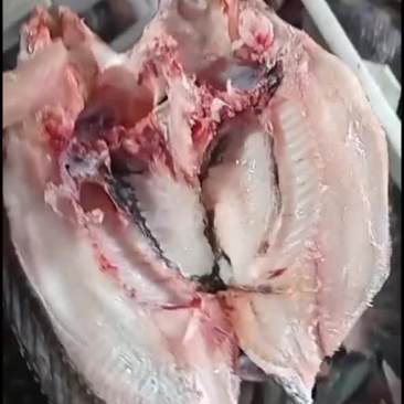 开背开肚罗非鱼。