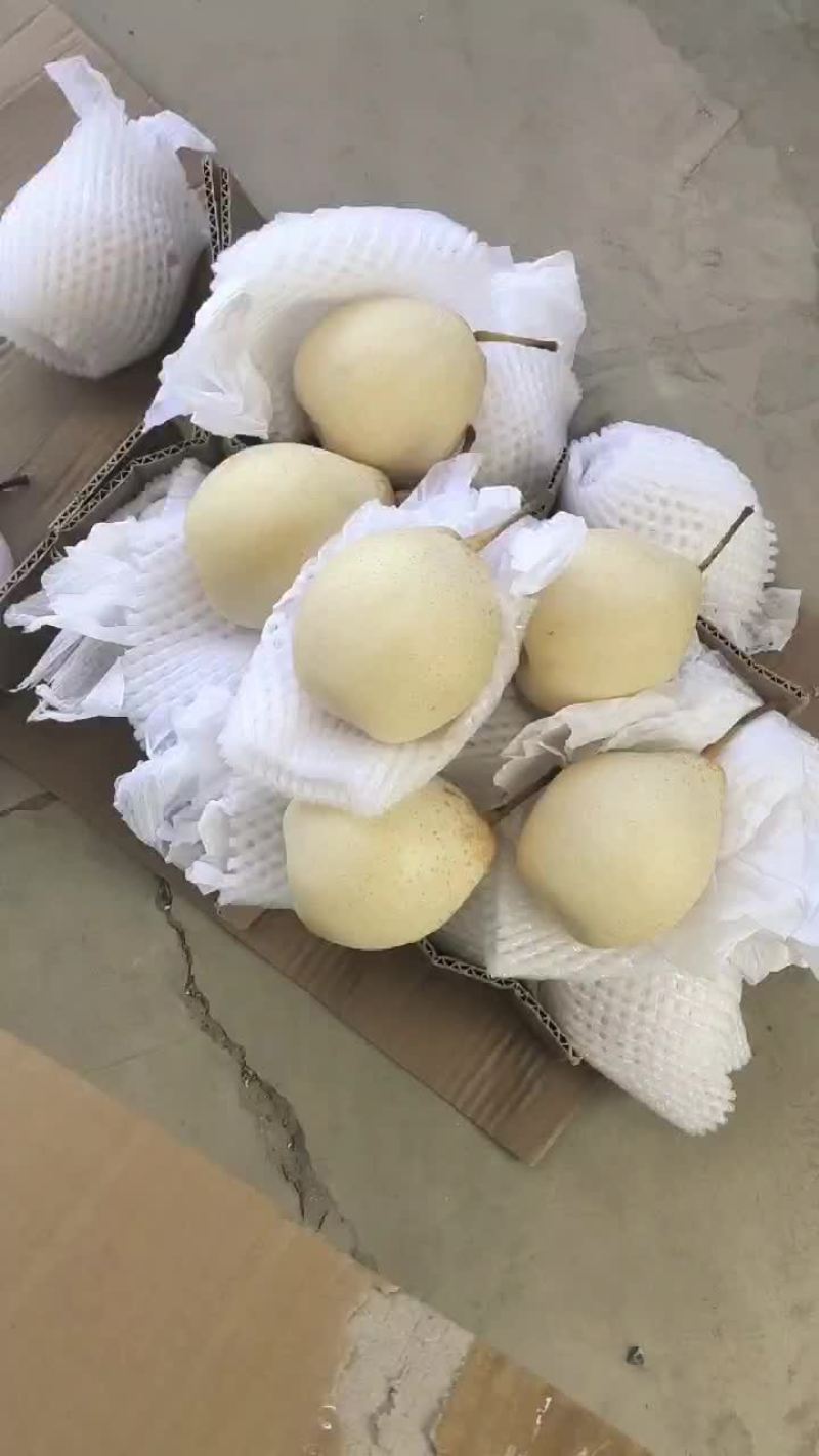 河北鸭梨，果面干净，脆甜，汁多