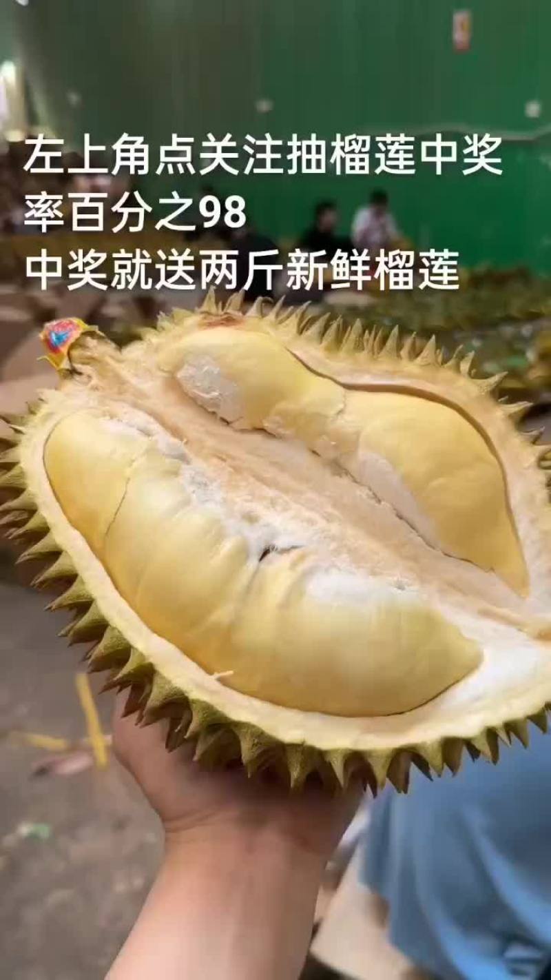 榴莲一件代发金枕榴莲托曼尼榴莲甲仑榴莲一件代发