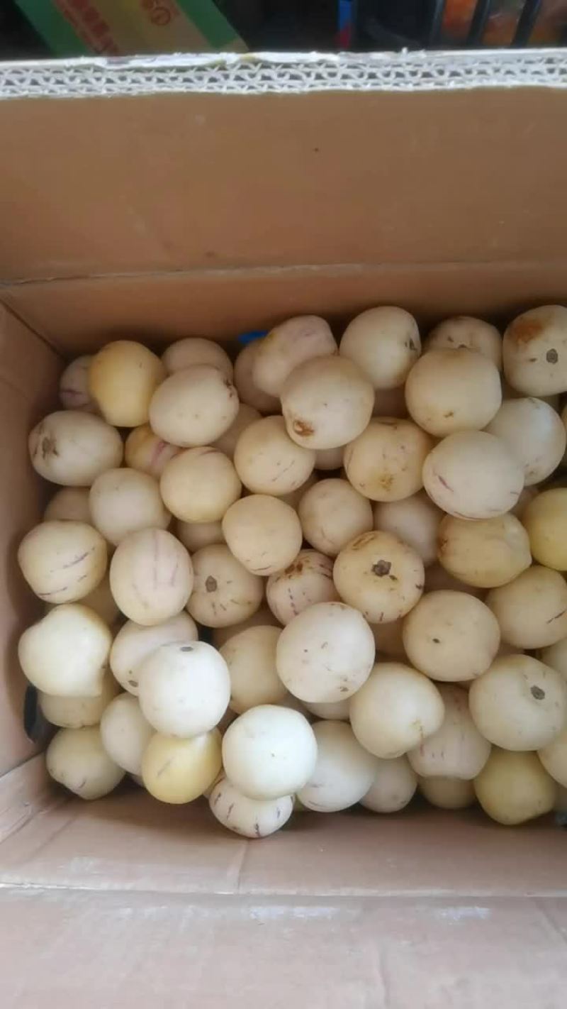 云南人参果水果电商一件代发