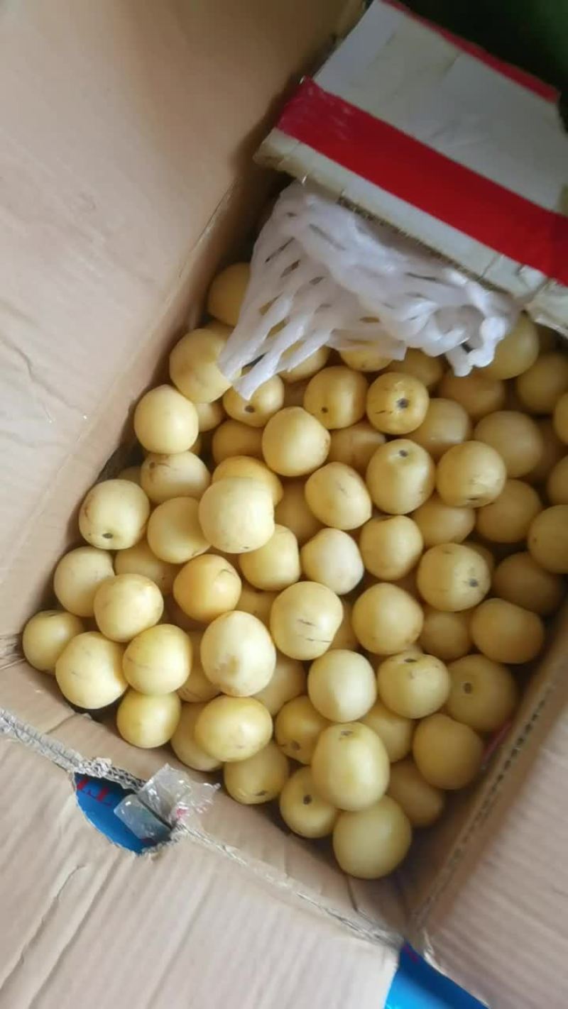 云南人参果水果电商一件代发