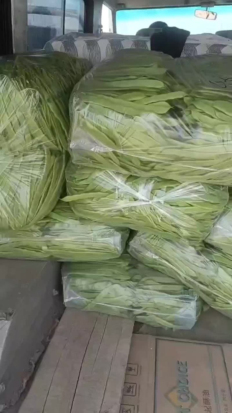 扁青芸豆