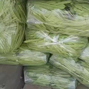 扁青芸豆