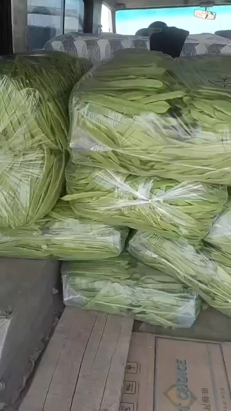 扁青芸豆