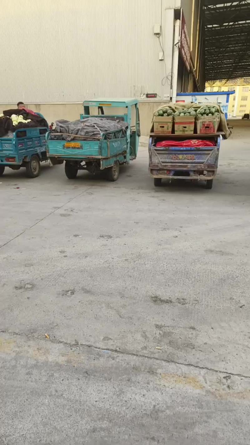 甜瓜