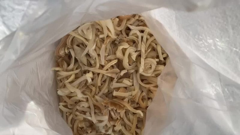 羊皮丝