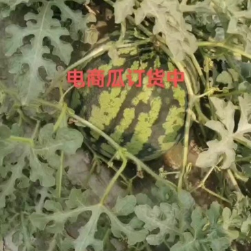西瓜