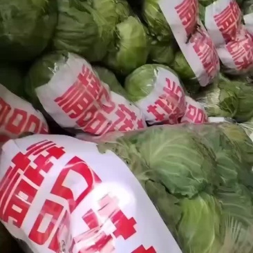 整车甘蓝
