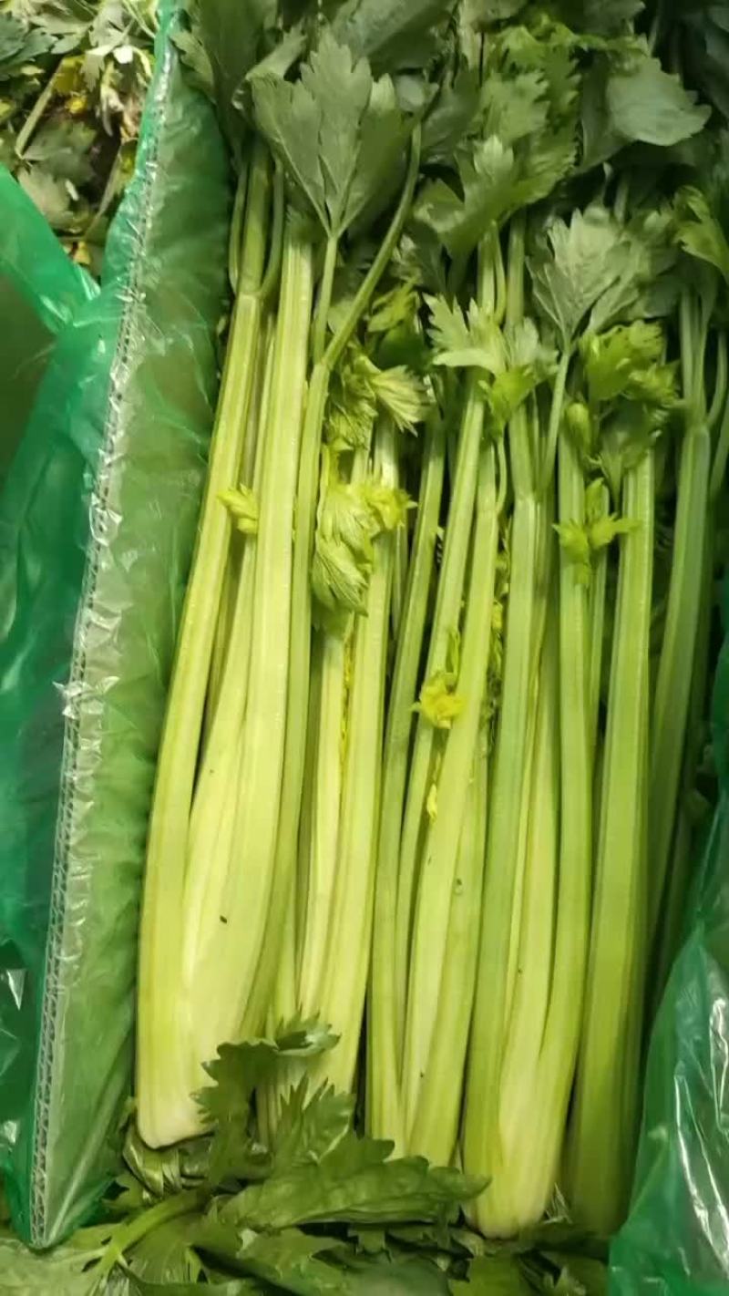 整车甘蓝