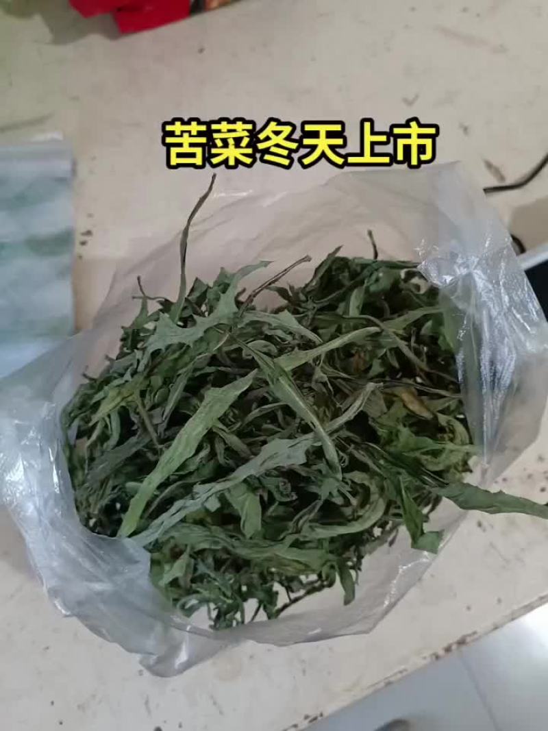 野生干苦菜