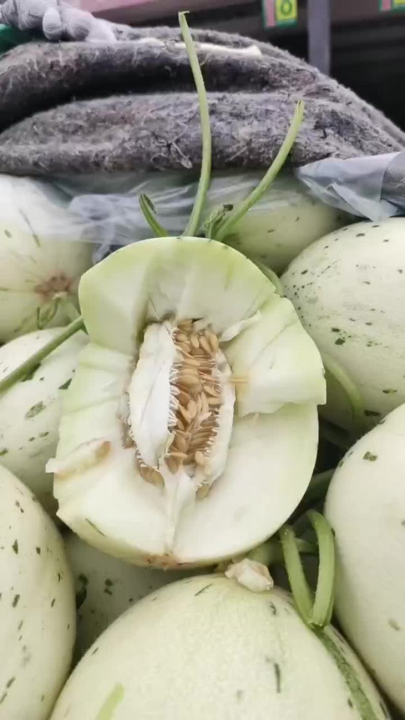 梦露甜瓜