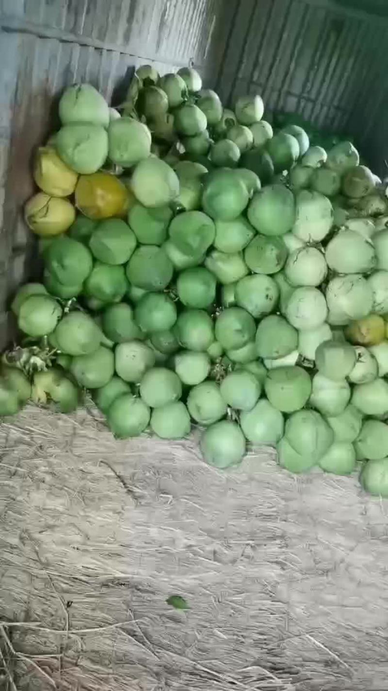 万宁A货大大个