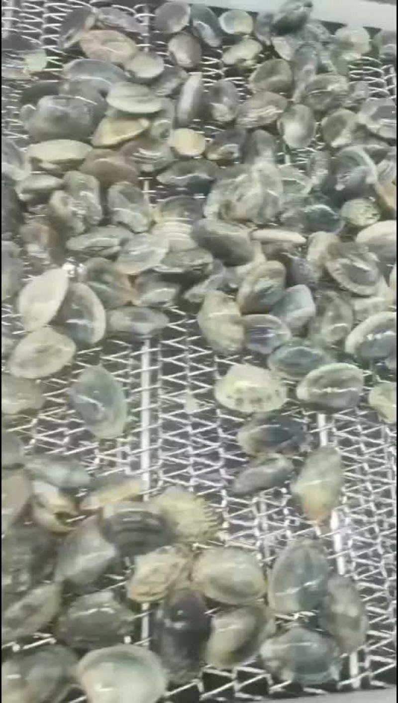 花蚬子，黄蚬子，白蚬子