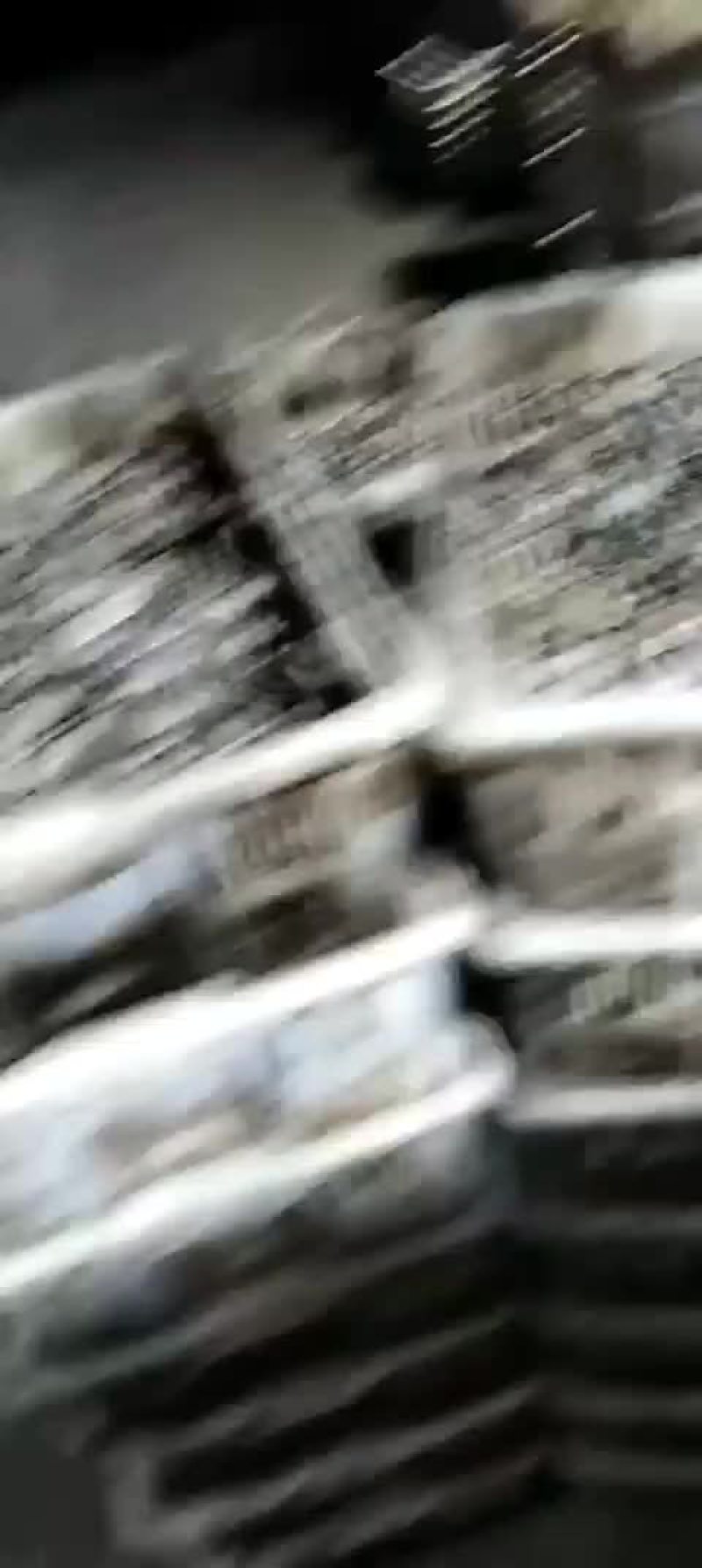 花蚬子，黄蚬子，白蚬子