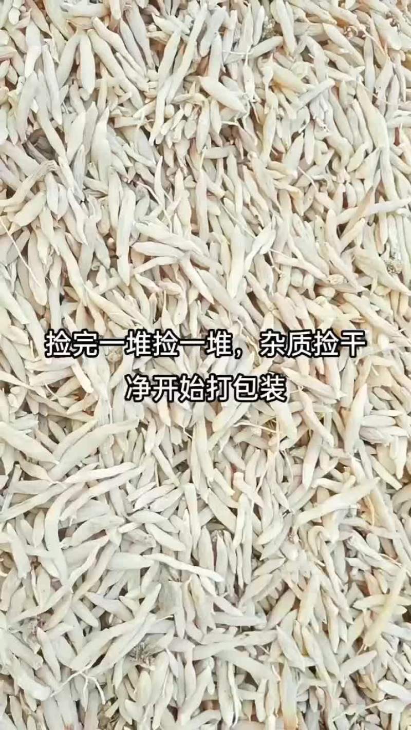 麦冬