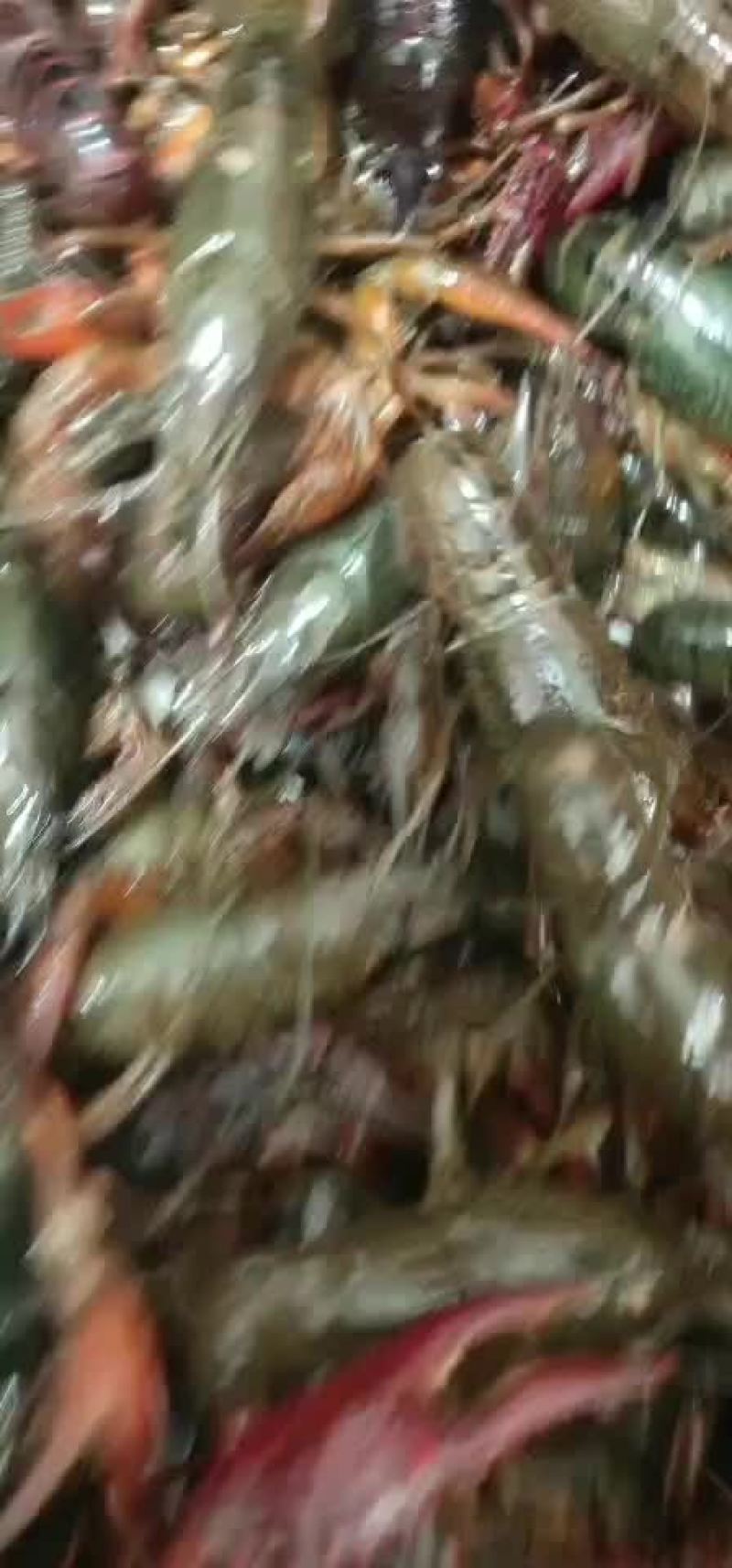 小龙虾