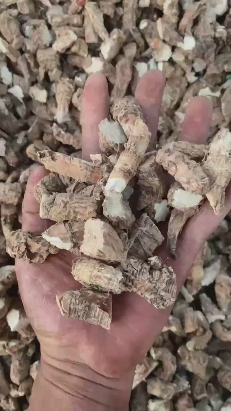 包谷七开口箭万年青
