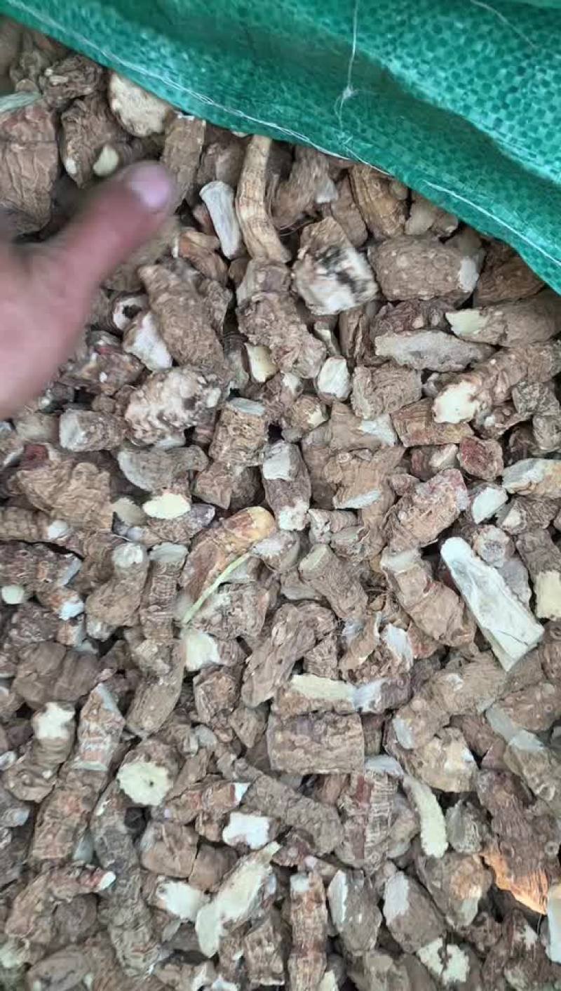 包谷七开口箭万年青