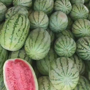 新疆西瓜