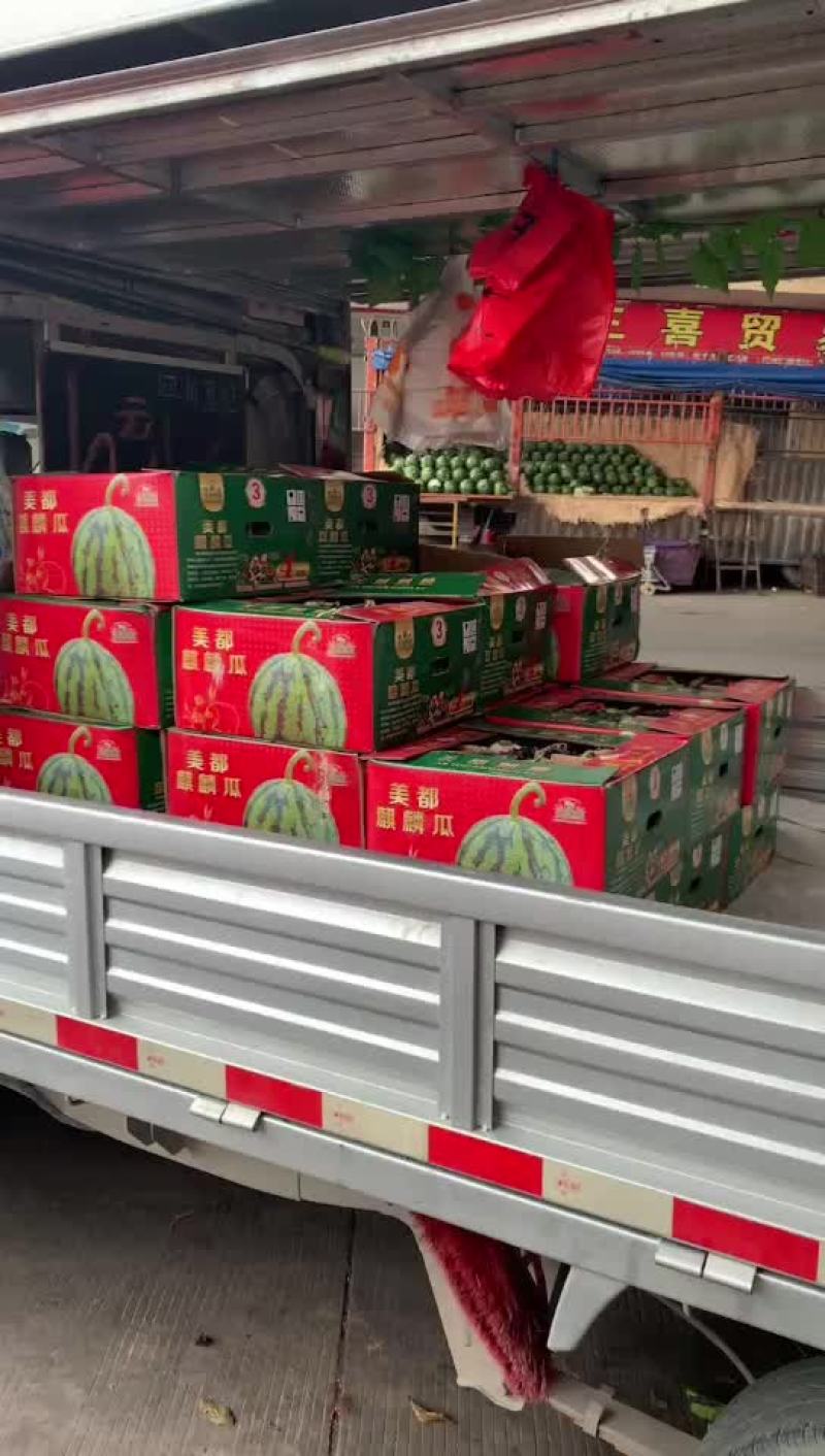美都，麒麟瓜，无籽美都，无籽瓜，箱装无籽麒麟