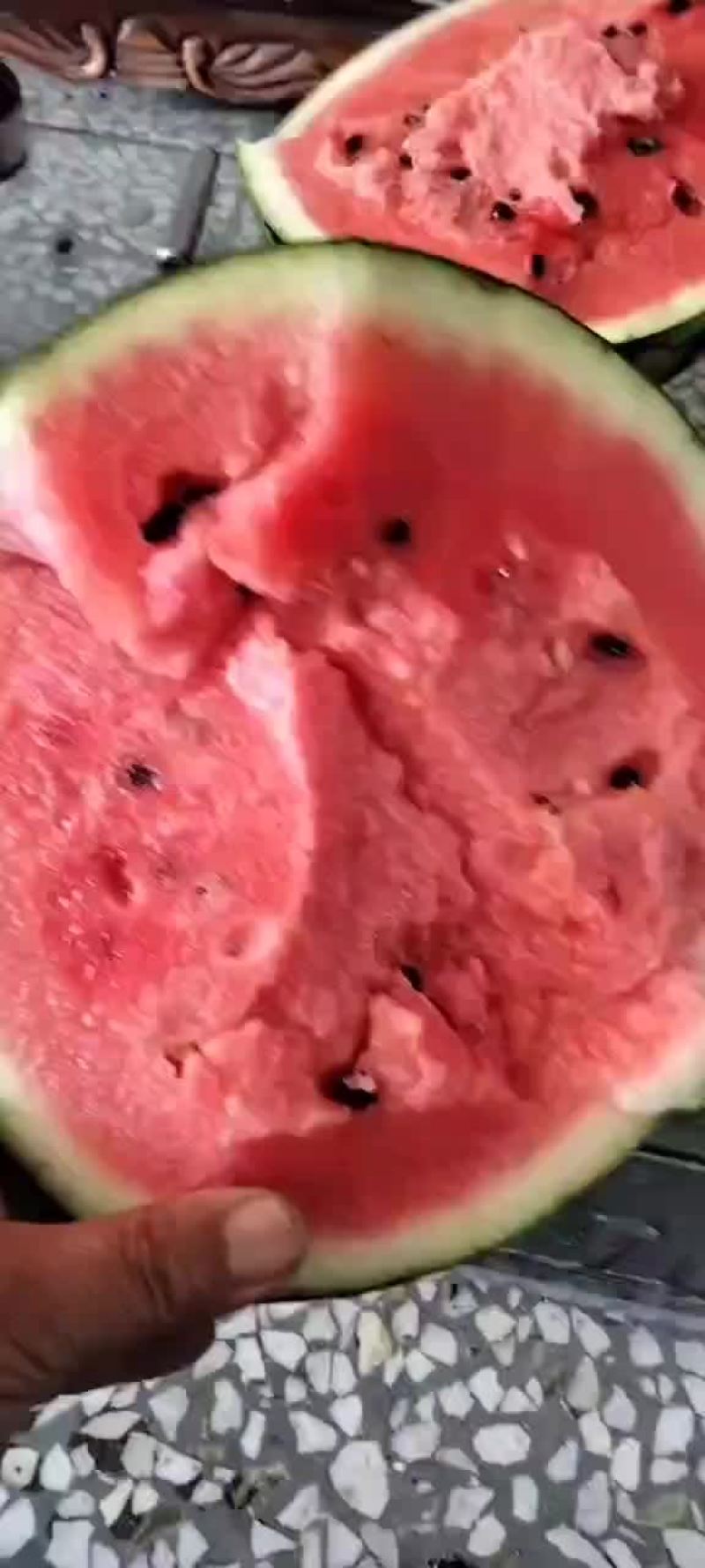 精品早春红玉西瓜，美都，甜王，8424西瓜大量上市，