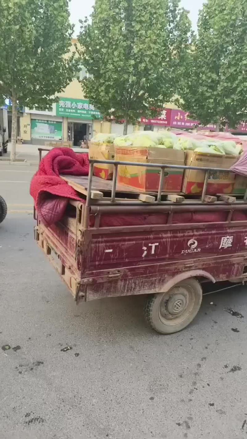 甜瓜